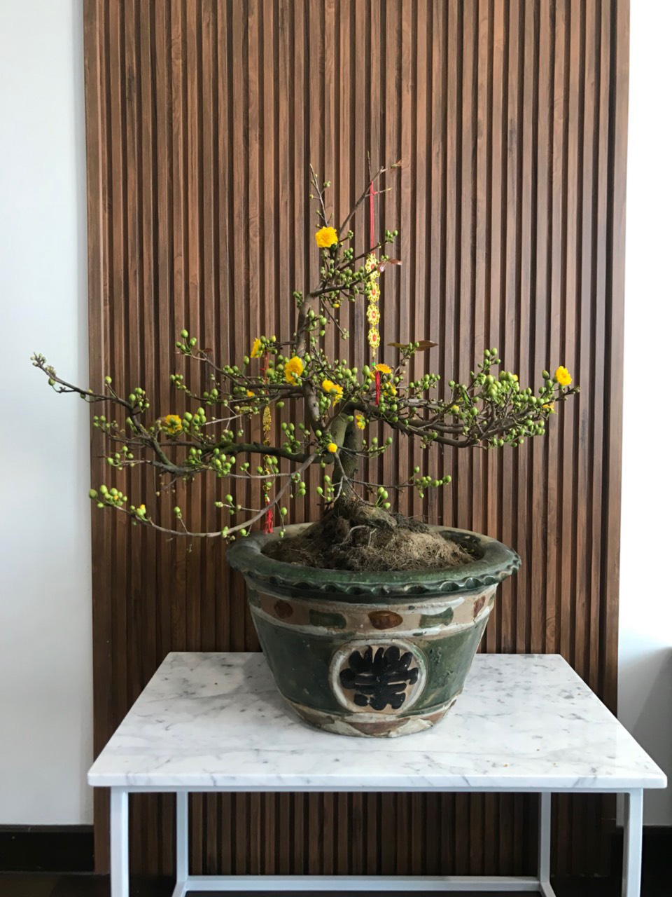 b18fb7a31d3ac6649f2b